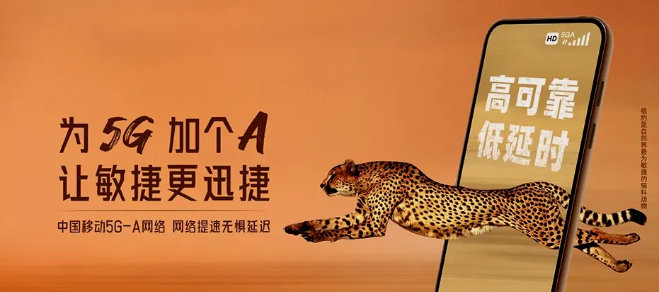成县成县王磨镇 移动宽带