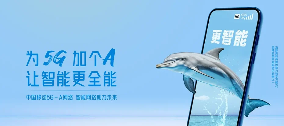 成县成县宋坪乡 移动宽带